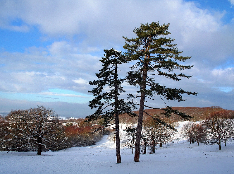 Snow Dawes Rd 2.jpg